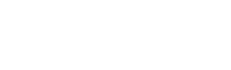 Tier 1 Concealed